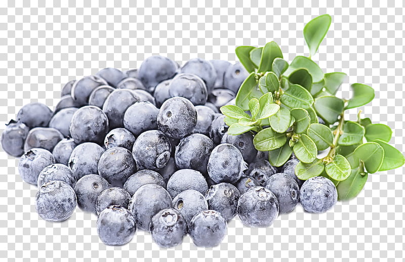 bilberry fruit blueberry berry superfood, Plant, Natural Foods, Grape, Prunus Spinosa transparent background PNG clipart