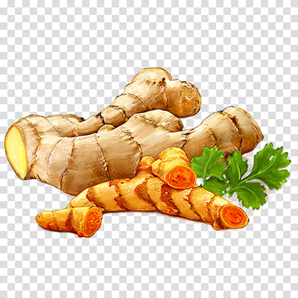 Turmeric, Ginger, Zedoary, Greater Galangal, Root Vegetable, Food, Tuber, Curcuma transparent background PNG clipart