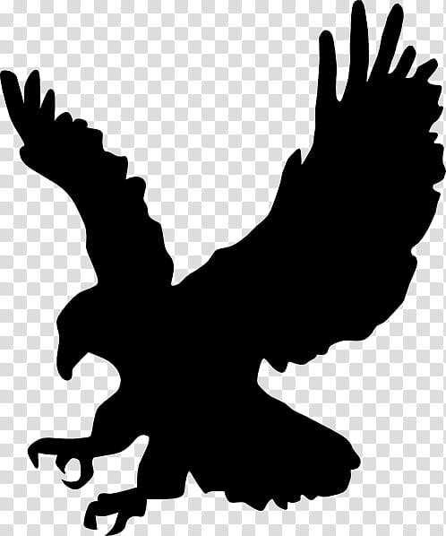 Eagle Drawing, Bald Eagle, Silhouette, Bird Of Prey, Claw, Beak, Blackandwhite, Golden Eagle transparent background PNG clipart