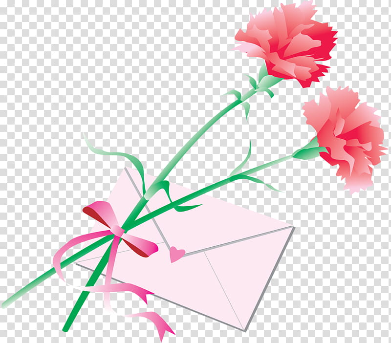 Pink Flowers, Flower Bouquet, Cut Flowers, Plant, Carnation, Dianthus, Pink Family, Petal transparent background PNG clipart