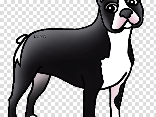 American Bulldog, Airedale Terrier, Boston Terrier, West Highland White Terrier, Bull Terrier, Norfolk Terrier, Yorkshire Terrier, Scottish Terrier transparent background PNG clipart