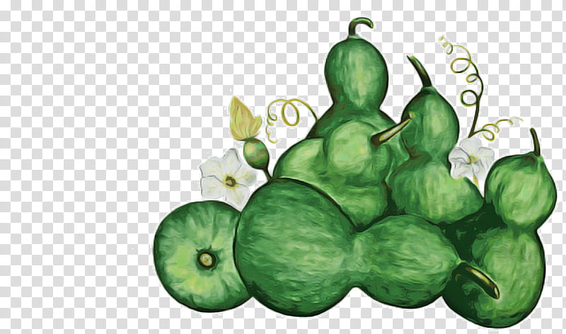Tree Of Life, Melon, Cucurbits, Gourd, Cucumber, Vegetable, Fruit, Family transparent background PNG clipart