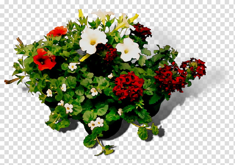 Floral Flower, Floral Design, Cut Flowers, Meter, Flower Bouquet, Room, Square Meter, Chrysanthemum transparent background PNG clipart