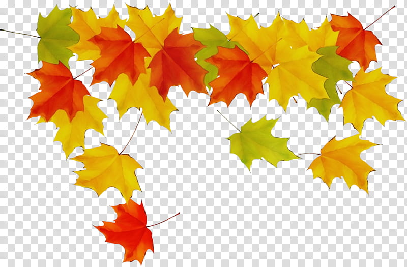 Autumn Watercolor, Paint, Wet Ink, Clothing, Shoe, Childrens Clothing, Maple Leaf, Discounts And Allowances transparent background PNG clipart