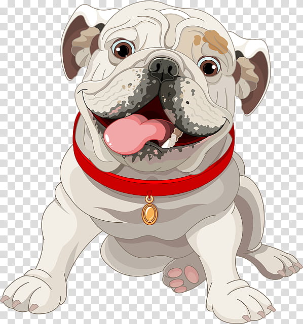 American Bulldog, French Bulldog, White English Bulldog, British Bulldogs, Snout, Toy Bulldog, Pug, Companion Dog transparent background PNG clipart