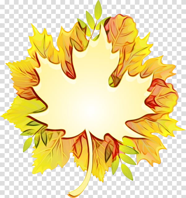 Autumn Design, Leaf, Logo, Maple Leaf, Yellow, Tree, Plant transparent background PNG clipart
