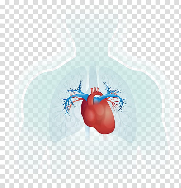 Heart, Shoulder, Desktop , Organism, Computer, Neck, Jaw, Microsoft Azure transparent background PNG clipart