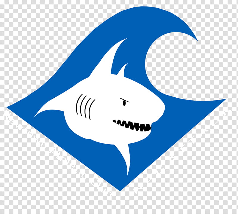 Shark Logo, Newtown, Jaws, Swimming, Fish, Cartoon, Team, Electric Blue transparent background PNG clipart