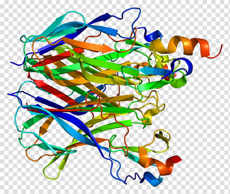 Transmembrane Activator And Caml Interactor Line, Tnf Receptor Superfamily, Tumor Necrosis Factor Alpha, Protein, Bcell Activating Factor, Disease, April, Cd79a transparent background PNG clipart