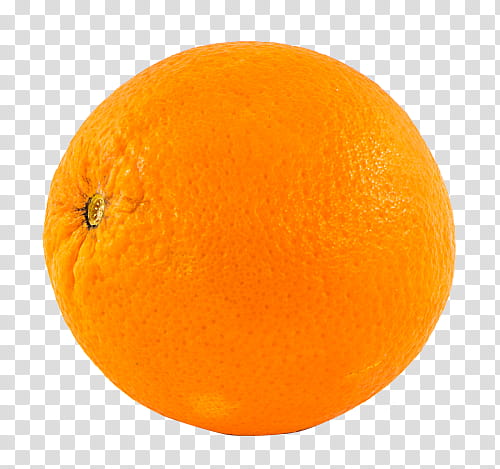 Fruit Orange Fruit Transparent Background Png Clipart Hiclipart