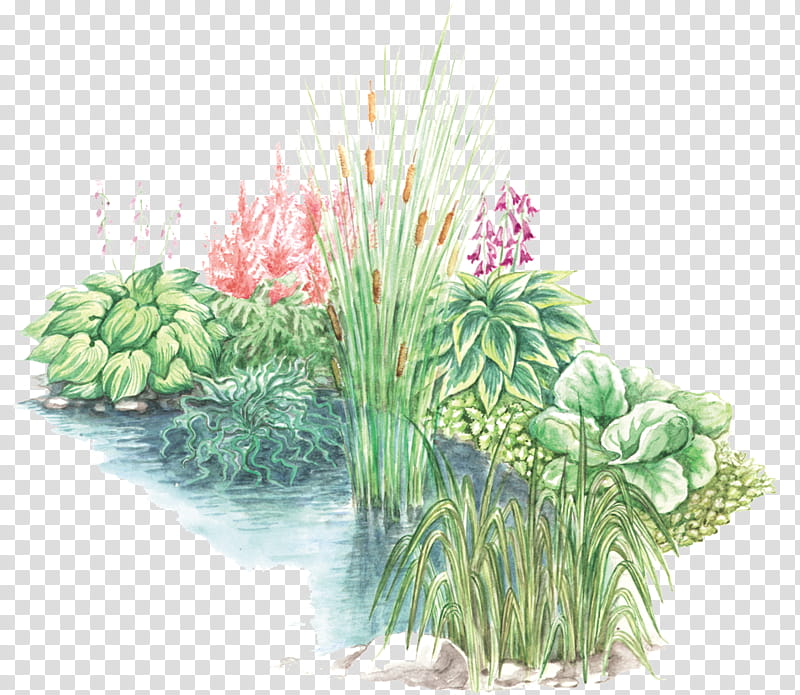 Watercolor Flower, Garden, Garden Design, , Landscape Design, Royaltyfree, Art, Pond transparent background PNG clipart