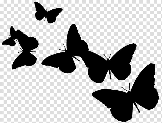 Leaf Silhouette, Brushfooted Butterflies, Kwanzaa, Butterfly, Kinara, Web Server, Text, Monarch Butterfly transparent background PNG clipart