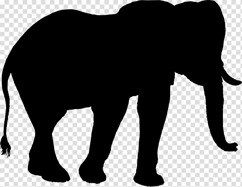 Ganesha Line Drawing, Indian Elephant, African Elephant, Silhouette, Animal Silhouettes, Elephants In Thailand, Asian Elephant, Black transparent background PNG clipart