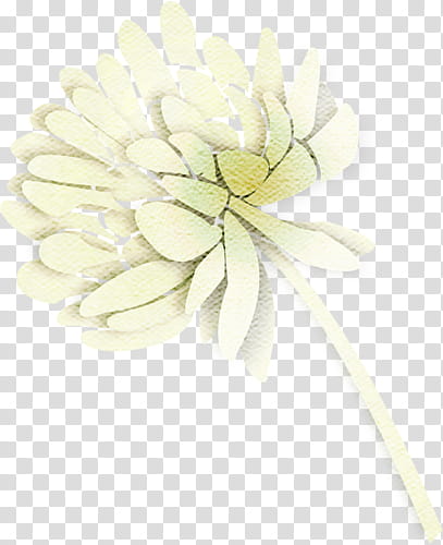 grey flower painting transparent background PNG clipart