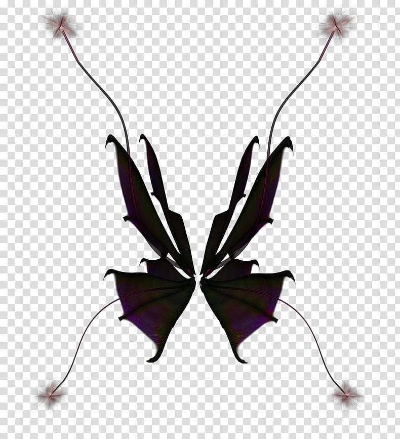 Wings Fairy FireFly, black bat wings symbol transparent background PNG clipart