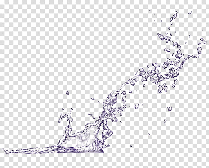 Water Splash, Text, Map, Line, Sky, Tree, Area, Branch transparent background PNG clipart