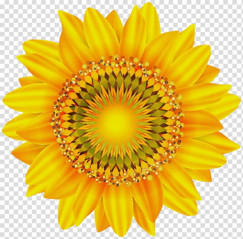 Sunflower, Watercolor, Paint, Wet Ink, Yellow, Plant, Petal, Pollen transparent background PNG clipart