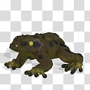 Spore creature Common frog  transparent background PNG clipart