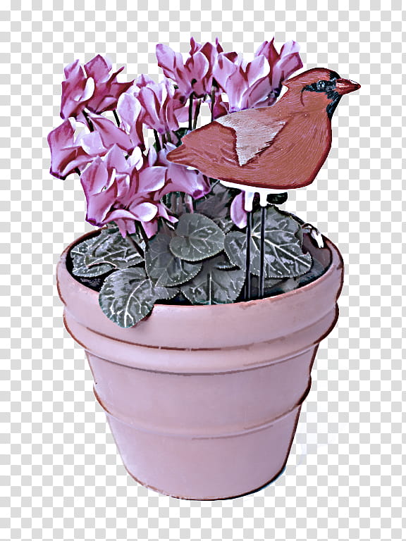flower flowerpot plant violet flowering plant, Cyclamen, Herbaceous Plant, Houseplant, Petal, Hydrangea transparent background PNG clipart