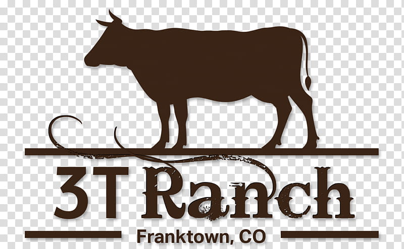 Cow, Cattle, Logo, Wildlife, Ranch, Horn, Live transparent background PNG clipart