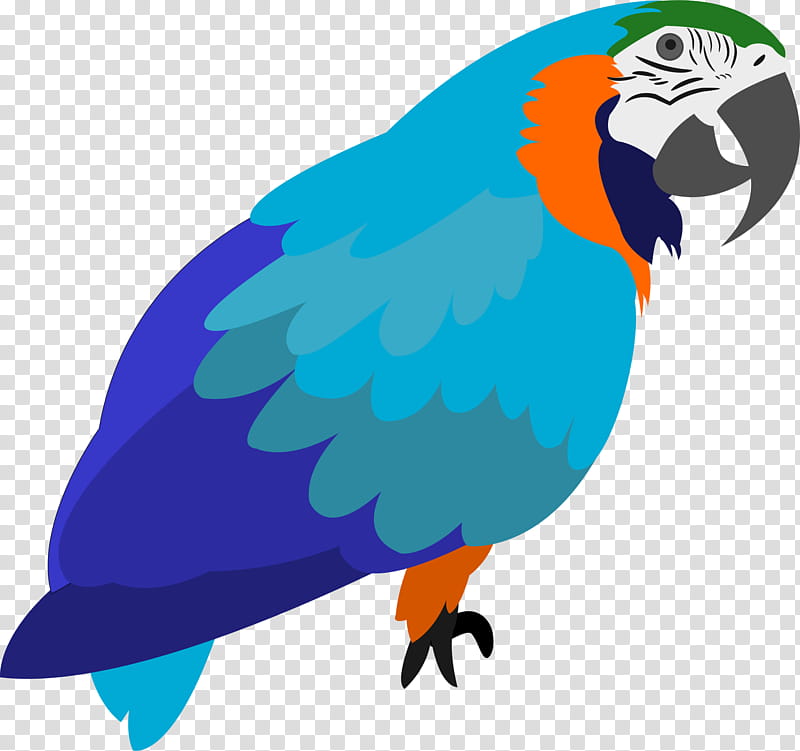 Bird Parrot, Macaw, Cartoon, Comics, Pet, Scarlet Macaw, Animal, Beak transparent background PNG clipart