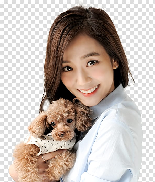 BLACKPINK JISOO, man in white top holding brown dog transparent background PNG clipart