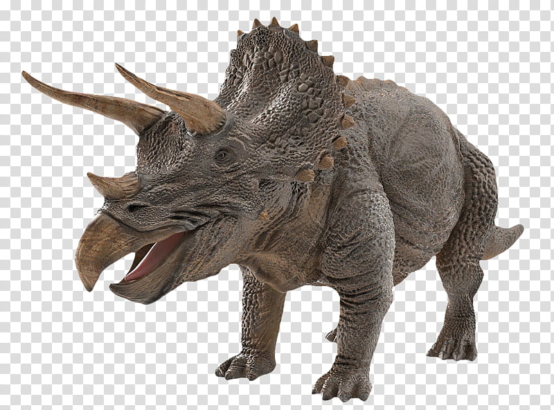 Dinosaur, Triceratops, Tyrannosaurus, Triceratopstriceratops, Drawing, 3D Computer Graphics, ZBrush, 3D Modeling transparent background PNG clipart