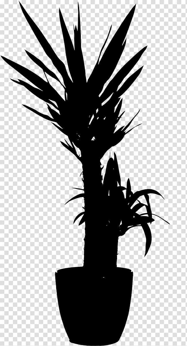 Palm Tree Silhouette, Palm Trees, Flowerpot, Houseplant, Cactus, Blackandwhite, Thorns Spines And Prickles transparent background PNG clipart