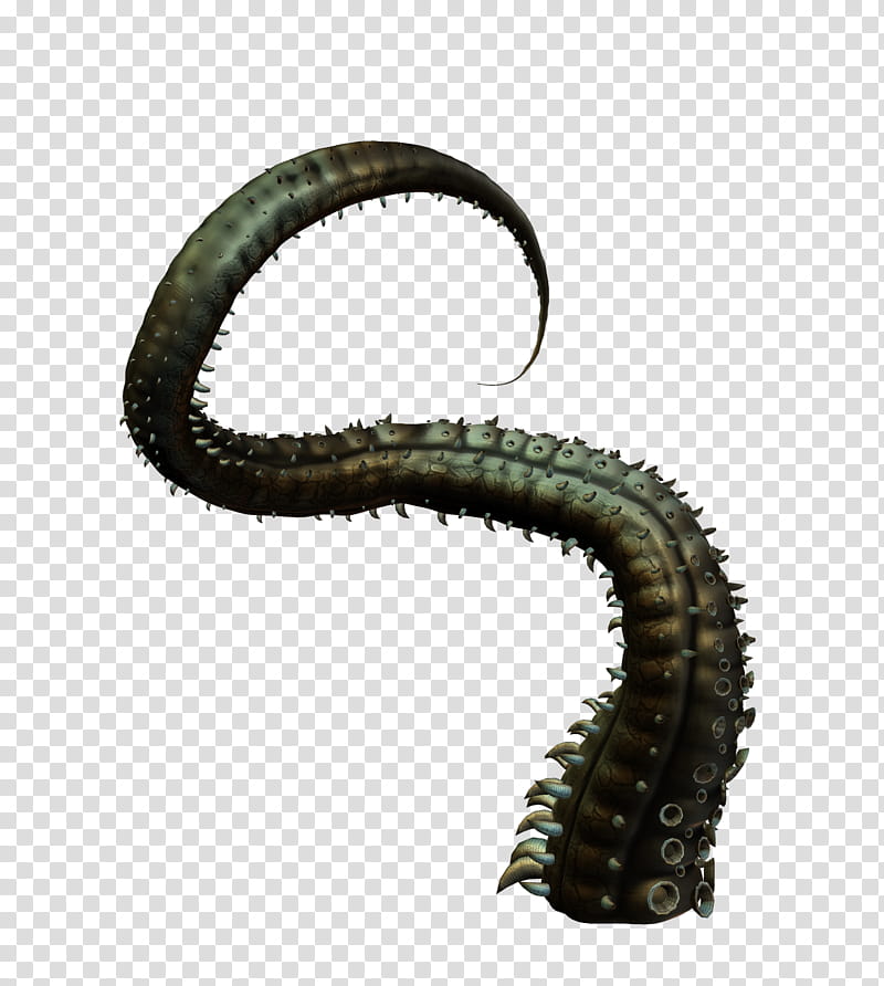 Octopus tentacle, 3d, octopus, tentacle png