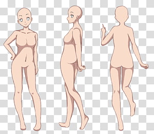 Base References Base woman body illustration transparent background PNG  clipart  HiClipart