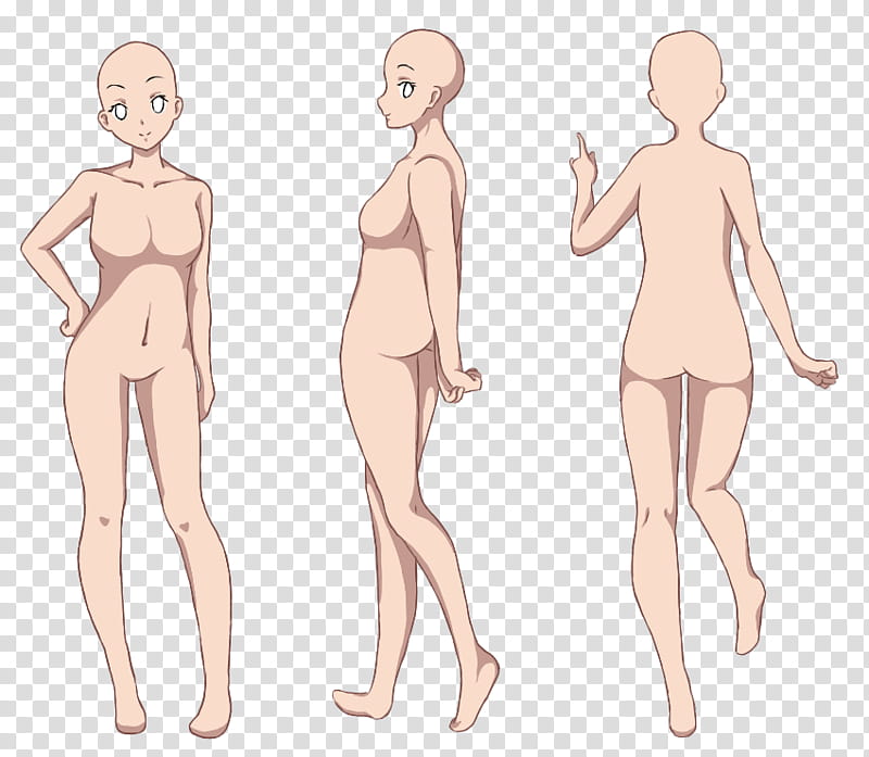 Base References Base, woman body illustration transparent