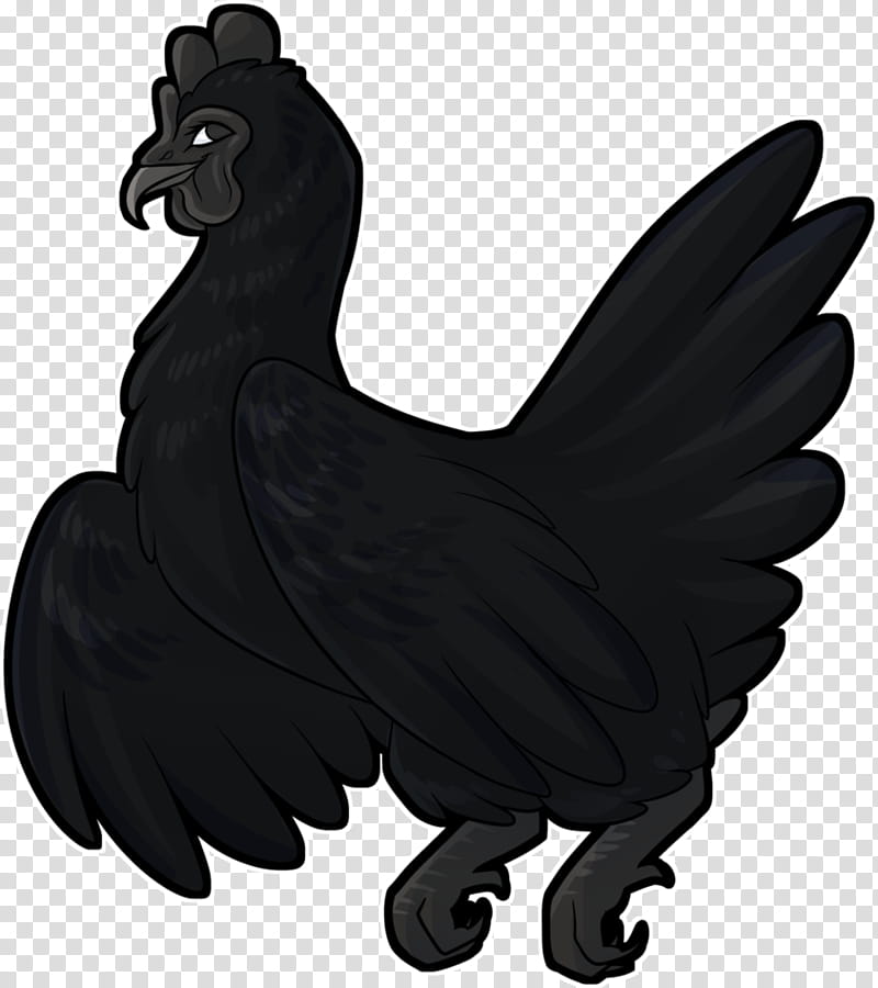 Bird, Rooster, Ayam Cemani, Cartoon, Digital Art, Drawing, Chicken, Beak transparent background PNG clipart