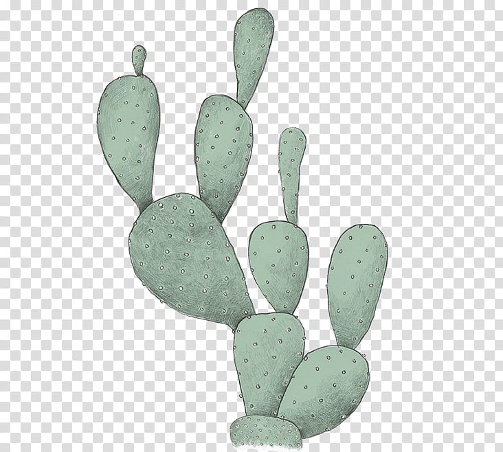 Cactus, Nopal, Green, Turquoise, Plant, Prickly Pear, Succulent Plant, Hand transparent background PNG clipart