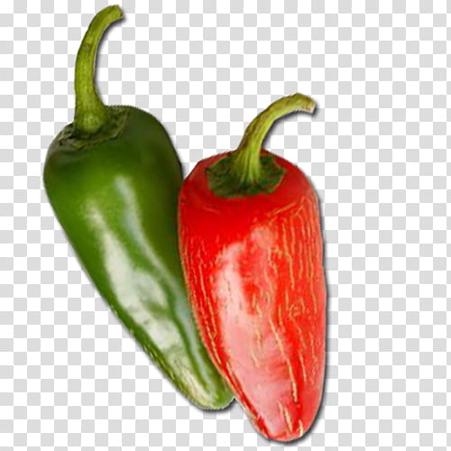 Red Flower, Habanero, Serrano Pepper, Birds Eye Chili, Mexican Cuisine, Tabasco Pepper, Pasilla, Chili Pepper transparent background PNG clipart