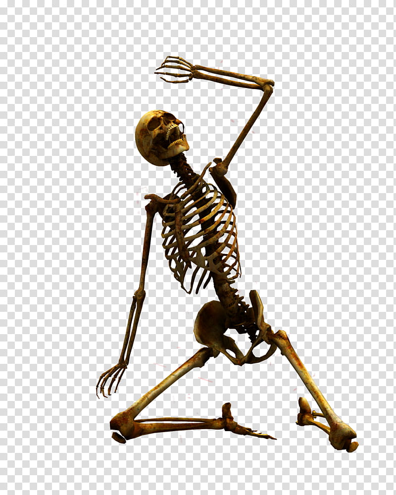 E S Bones I, brown human skeleton icon transparent background PNG clipart