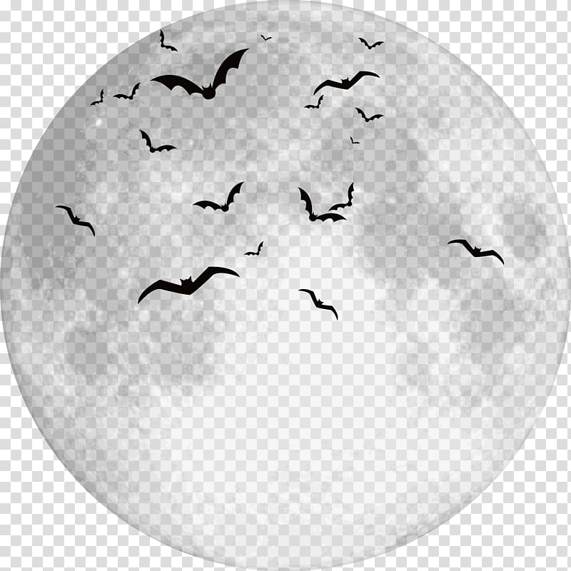 halloween, Halloween , Bird, Flock, Seabird transparent background PNG clipart