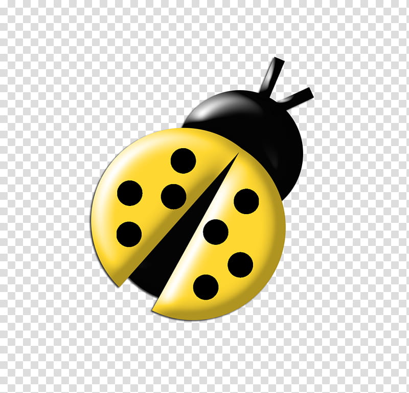 Ladybugs Colours, black and yellow ladybug illustration transparent background PNG clipart