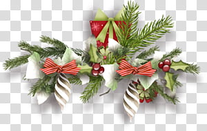Christmas ornaments Christmas decoration Christmas, Christmas 
, Oregon Pine, Branch, Colorado Spruce, Plant, Tree, Leaf transparent background PNG clipart thumbnail
