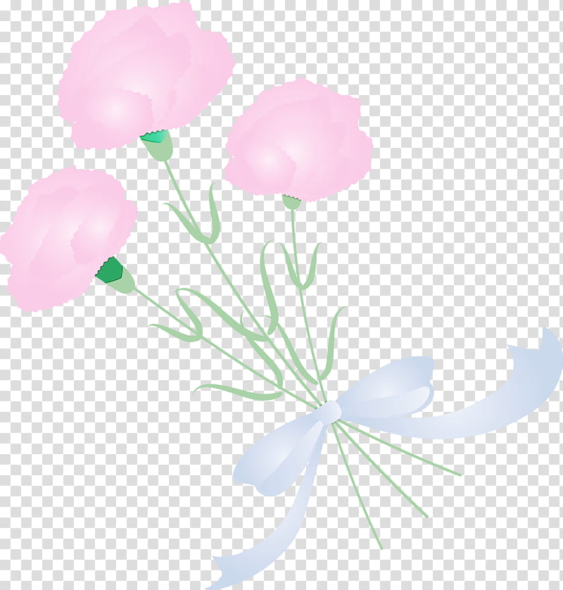 flower pink petal plant plant stem, Mothers Day Carnation, Mothers Day Flower, Watercolor, Paint, Wet Ink, Pedicel, Wildflower transparent background PNG clipart