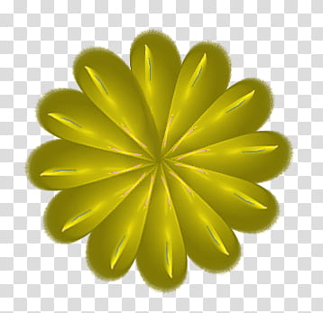 F Flower Head , yellow and green flower y transparent background PNG clipart