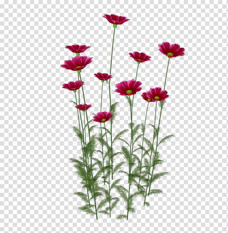 Long Stems Secret Garden Library transparent background PNG clipart