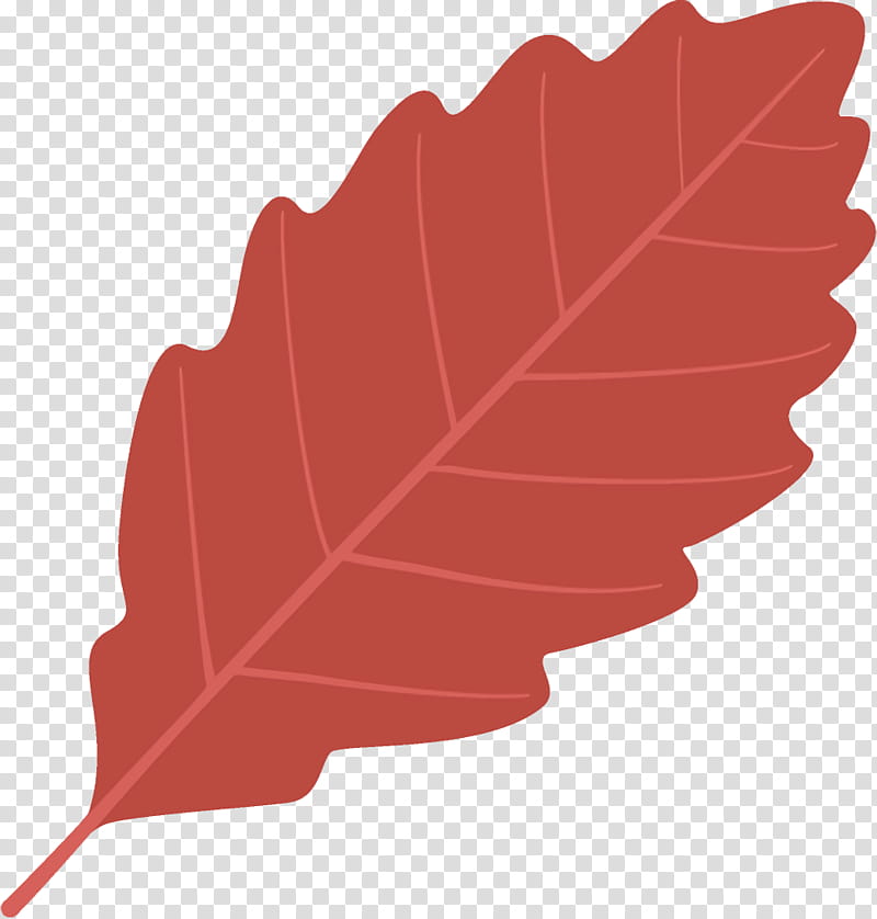 autumn leaf fallen leaf dead leaf, Red, Tree, Plant, Woody Plant, Line, Flower, Deciduous transparent background PNG clipart