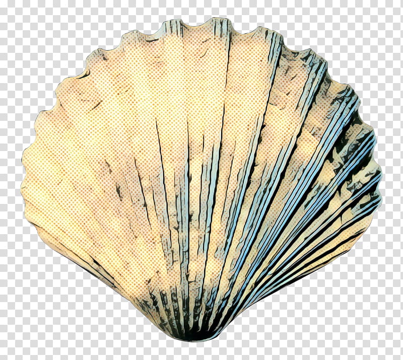 Seafood, Cockle, Fan, Scallop, Shell, Clam, Decorative Fan, Bivalve transparent background PNG clipart