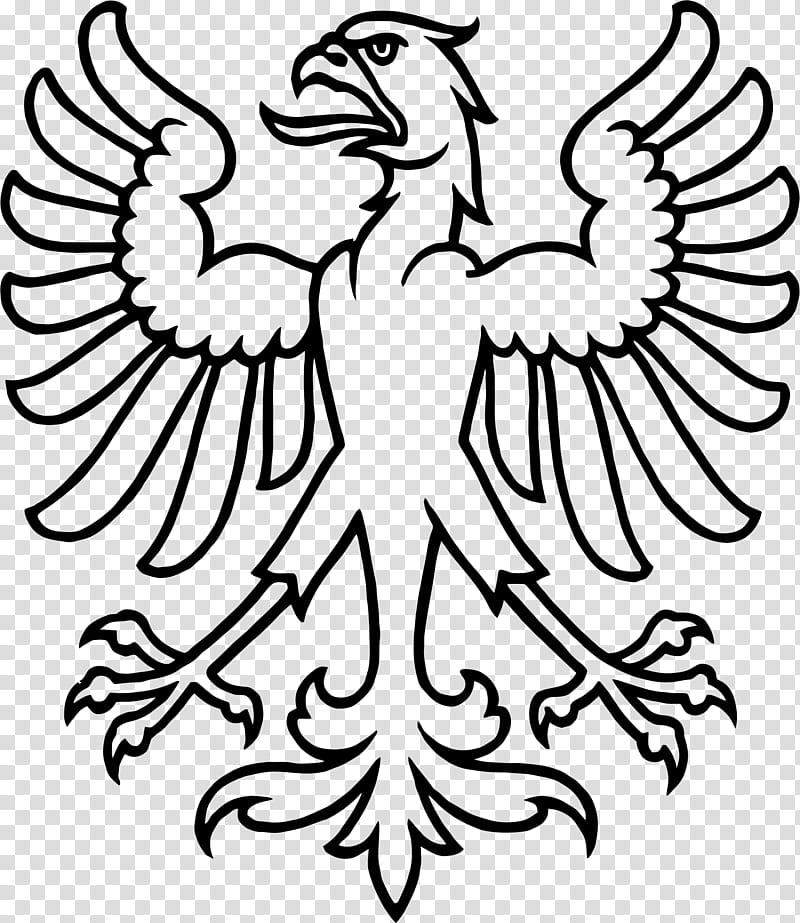 Bird Line Drawing, Bald Eagle, Golden Eagle, Line Art, Switzerland, White, Beak, Coloring Book transparent background PNG clipart