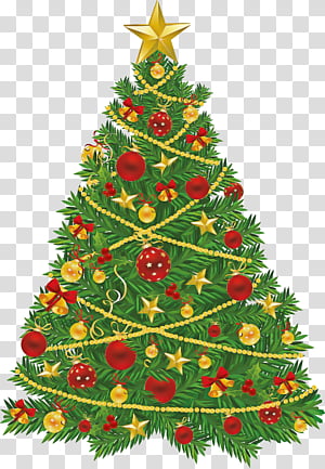 Christmas tree, Christmas Decoration, Colorado Spruce, Christmas Ornament, Oregon Pine, Holiday Ornament, Christmas 
, Evergreen transparent background PNG clipart thumbnail