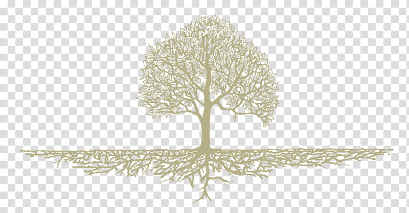 Tree Roots Drawing, Health, Health Care, Mental Health, Mental Disorder, Plants, Disease, Soil transparent background PNG clipart
