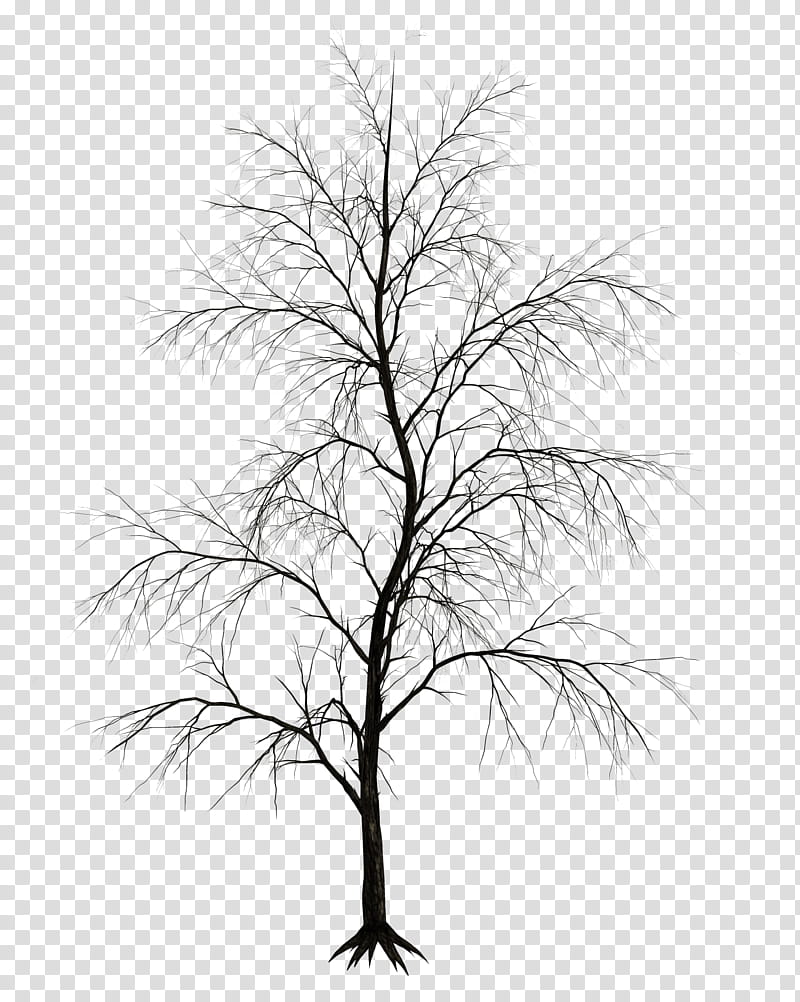 dark tree drawing