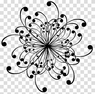 Flower Drop Shapes, black flower illustration transparent background PNG clipart