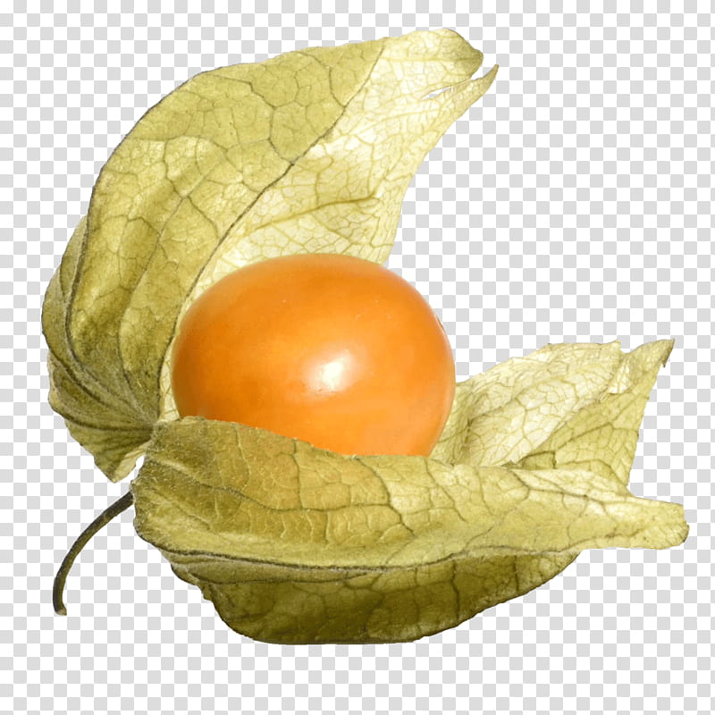 Egg, Fruit, Peruvian Groundcherry, Tomatillo, Leaf, Plant, Food, Nightshade Family transparent background PNG clipart