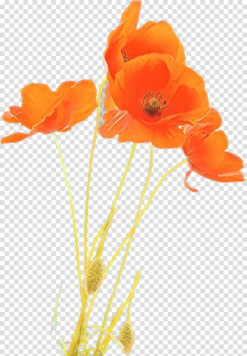 Orange, Cartoon, Flower, Eschscholzia Californica, Cut Flowers, Petal, Plant, Coquelicot transparent background PNG clipart